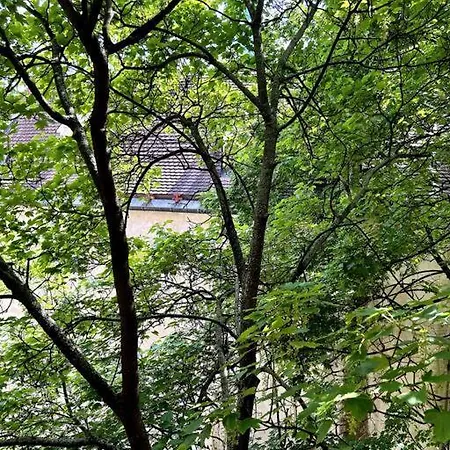 Luxurious And Royal In The Old Town Διαμέρισμα