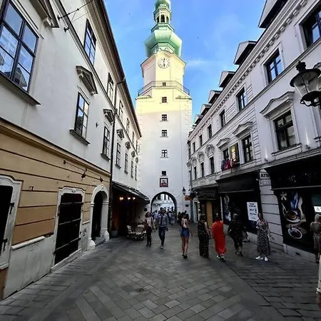 アパート Luxurious And Royal In The Old Town